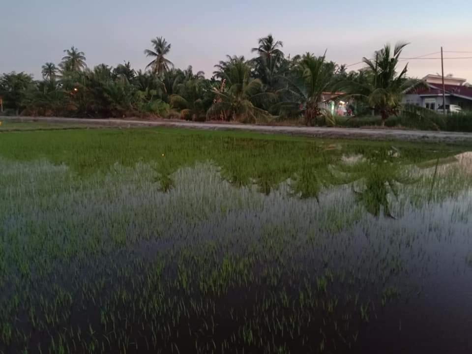Chalet Kolam Renang D'Sawah A Sungai Besar Esterno foto